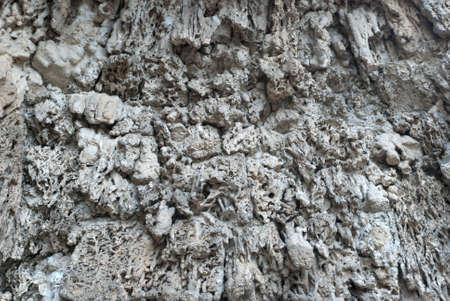 A cave texture
