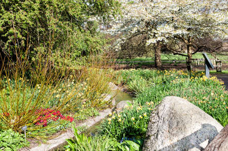 Idyllic nook in the park in the parkの写真素材