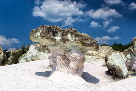 The Stone Mushrooms near Beli Plast Village in Bulgariaの写真素材