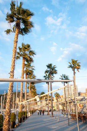 Photo of Coastal city of Malaga, Costa del Sol, Andalucia, Spain at sunsetの写真素材