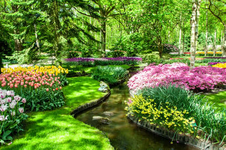 KEUKENHOF GARDEN NETHERLANDS. Keukenhof is the world's largest flower garden. Keukenhof Garden Lisse Netherlandsの写真素材