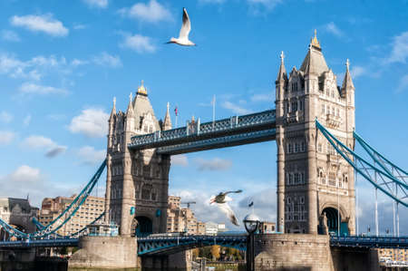Tower Bridge, London, UK.and birdsの写真素材