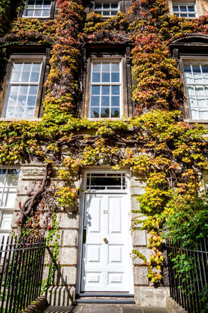 Green plants cover over a building in Bath, UK.の写真素材