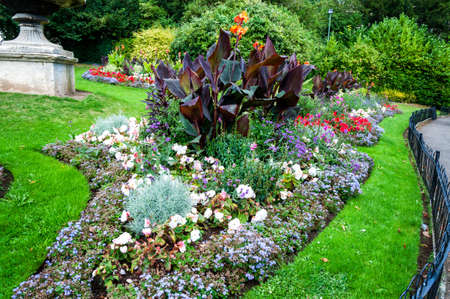 Colorful yellow daises flowers in the park, Selective focusの写真素材