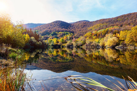 Autumn foliage and  lake in morningの写真素材