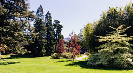 Beautiful park near Lake Como