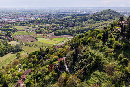 Green Italian landscapeの写真素材