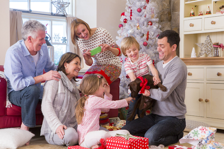 Three Generation Family at Christmas Time. Dad holds a small brown dog with a ribbon tied around its collar and everyone looks surprised.の写真素材