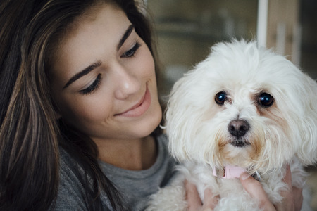 Close up of teenage girl with her pet Bichon Frise. The girl is looking at her dog and smiling.の写真素材