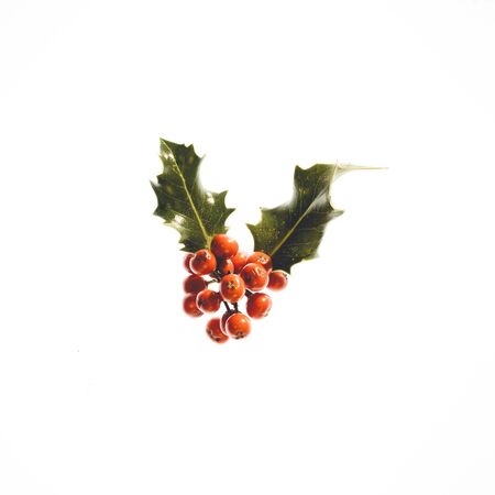 Christmas tree decoration against a white background.の写真素材