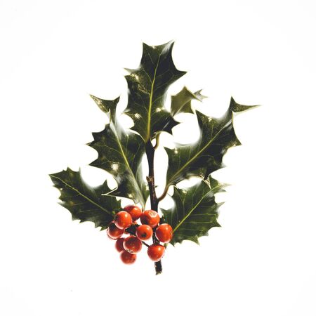 Christmas tree decoration against a white background.の写真素材