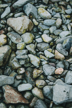 Mossy pebbles on the beach.の写真素材