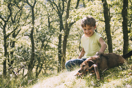 Little boy is sitting in the woodlands with his dog, stroking him in the sunshine. の写真素材