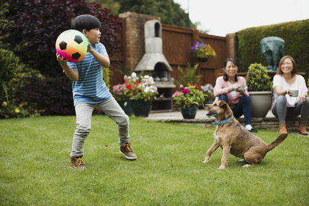 Little boy is playing fetch in the garden with his pet dog and a ball. His mother and grandmother are watching with a cup of tea. の写真素材