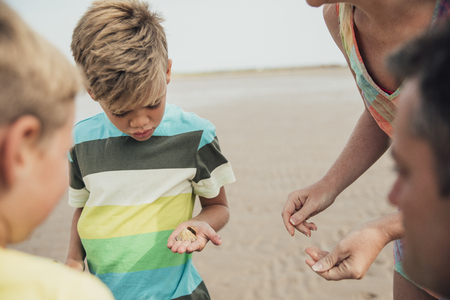 Family looking at shells and sea life which they have found at the beach.