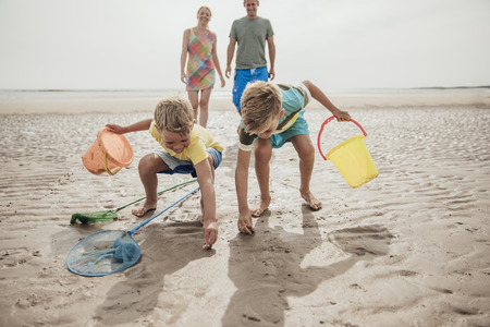 Family looking and searching for shells and lost treasure at the beach.の写真素材