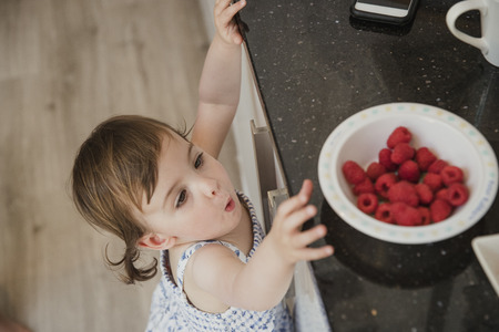 High angle view of a little girl standning in a kicthen and reaching up over the kitchen counter to grab some raspberries.の写真素材