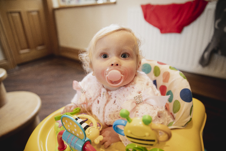 Baby girl sitting in a baby walker indoors. She has a pacifier in her mouth and is looking at the...