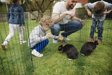 Group of children kneeling outdoors next to a rabbit pen. They are trying to pet the rabbits by putting their fingers through the holes in the fence.の写真素材