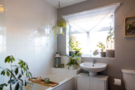 A wide-view shot of a modern bathroom interior decorated with houseplants.