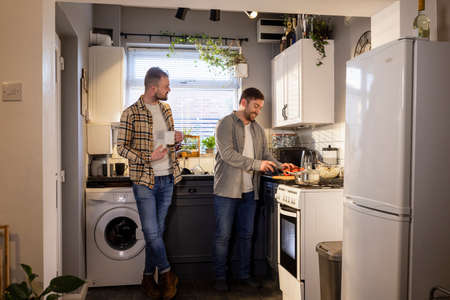 A side-view shot of an LGBTQI same sex male couple standing in their kitchen together, one man is chopping tomato's while the other man talks to him.の写真素材