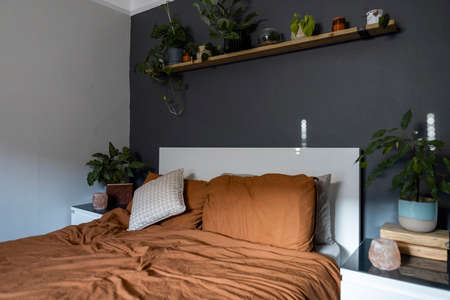 A shot of an empty bed in a bedroom decorated with house plants.の写真素材