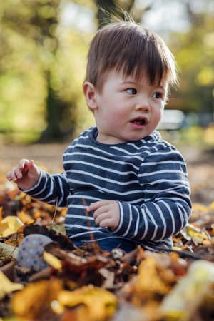 A young mixed race baby boy sitting on the ground in nature in Northumberland, North East England. He is playing with fallen leaves in Autumn while looking over his shoulder with his mouth open.の写真素材