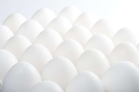 Background from fresh eggs.の写真素材
