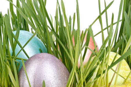 Decoration with various colorful easter eggs and green grass. Close up.