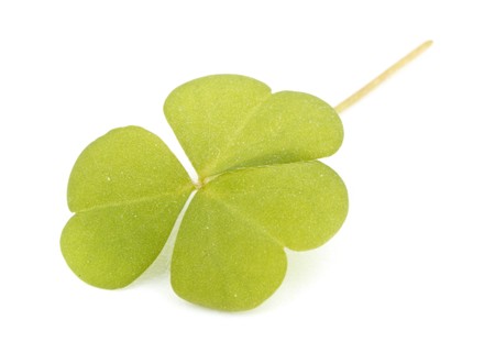 Three leaf clover on a white background. St. Patrick's Day symbol.