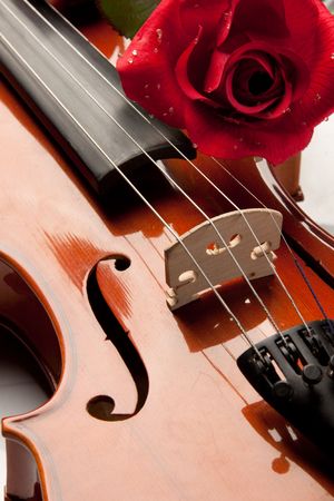 The violin and rose lay on musical notes.の写真素材