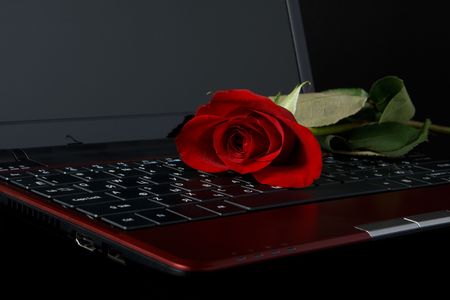 Modern notebook and rose on a black backgroundの写真素材