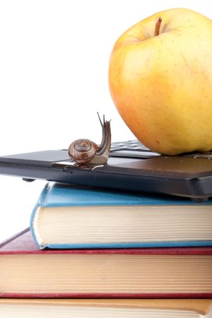 The garden snail, notebook, books and apple on a white background. Back to school.の写真素材