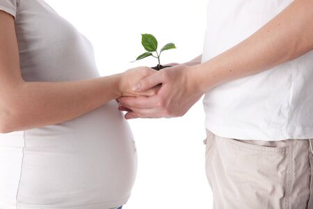 Happy pregnant family with green defenceless sprout on a white background.Concept of birth.の写真素材