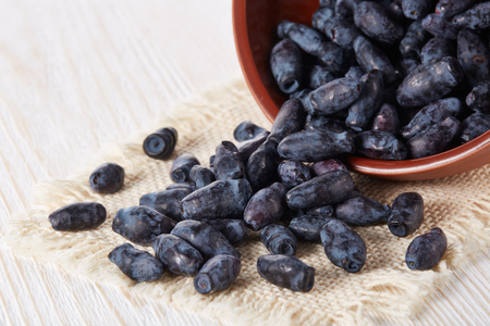 Honeysuckle berries in a ceramic bowl on wooden background.の写真素材