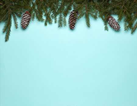Light green paper background with fir branches and cones. Top view with copy space. New Year and...