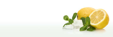 Still life from fresh whole lemon, half of lemon, ice and leaves of mint on white background. Ultrawide panorama banner background.の写真素材