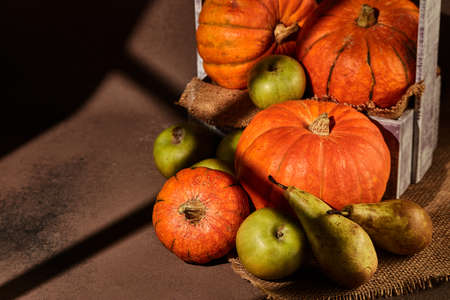 Autumn still life with pumpkins, apples and pears  in a wooden box on brown background with sunlight.  Autumn harvest, Happy Thanksgivingの写真素材