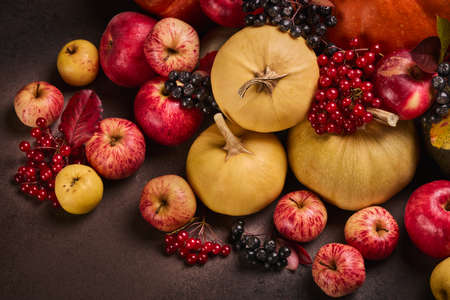 Thanksgiving background. Festive still life with pumpkins, berries, autumn leaves and apples on dark brown background. Happy Thanksgiving  day, autumn harvest, Halloween. Top viewの写真素材