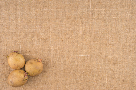 potato on burlap sack background. Natural canvas texture. Organic food. Backdrop for design.の写真素材