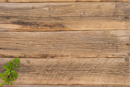Sprig of parsley on an old wooden table. Top view.の写真素材