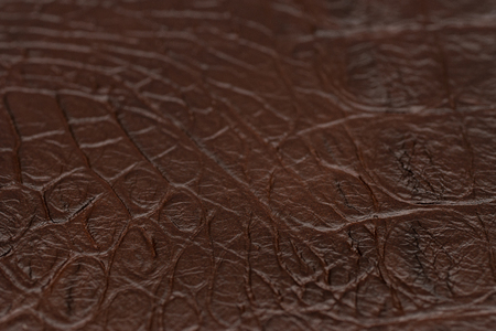 Crocodile leather for manufacturing of luxury shoes, clothes, bags and other fashion accessories, high quality natural seamless material sample, textured background, selective focusの写真素材