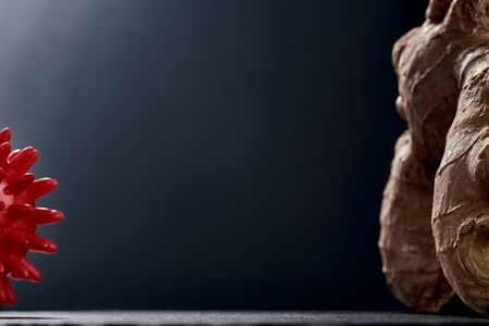 ginger against the virus. the fight against bacteria. human immunity.