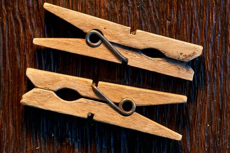 Two tree prechets lie on a brown tree table. background. macro-photoの写真素材