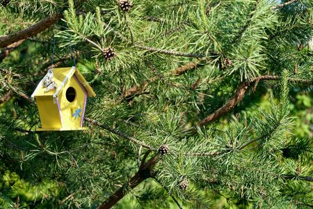 A yellow birdhouse hangs on a prickly tree. Ornamental bird house. sunny bright lightingの写真素材
