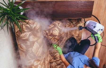 House cleaning. A girl in green gloves cleans the sofa and furniture with a steam generator. we kill microbes. Cleaning service of the apartment. Blue T-shirt, young model. flat lay.の写真素材