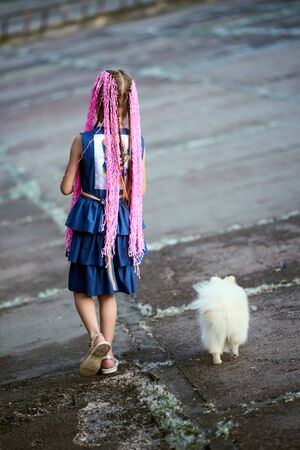 A girl with pink dreads walks on the street with a small white dog. rear view. concrete slabs, street.の写真素材