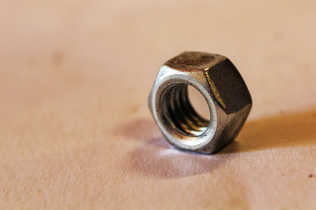 a nut.の写真素材