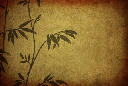 branches bamboo on old paperの写真素材