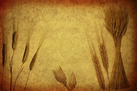 Retro Wheat Earsの写真素材